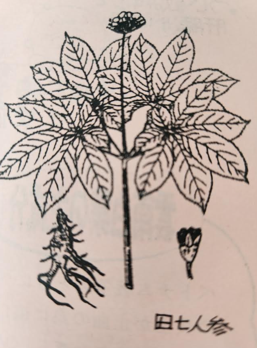 店頭雑感（12月）